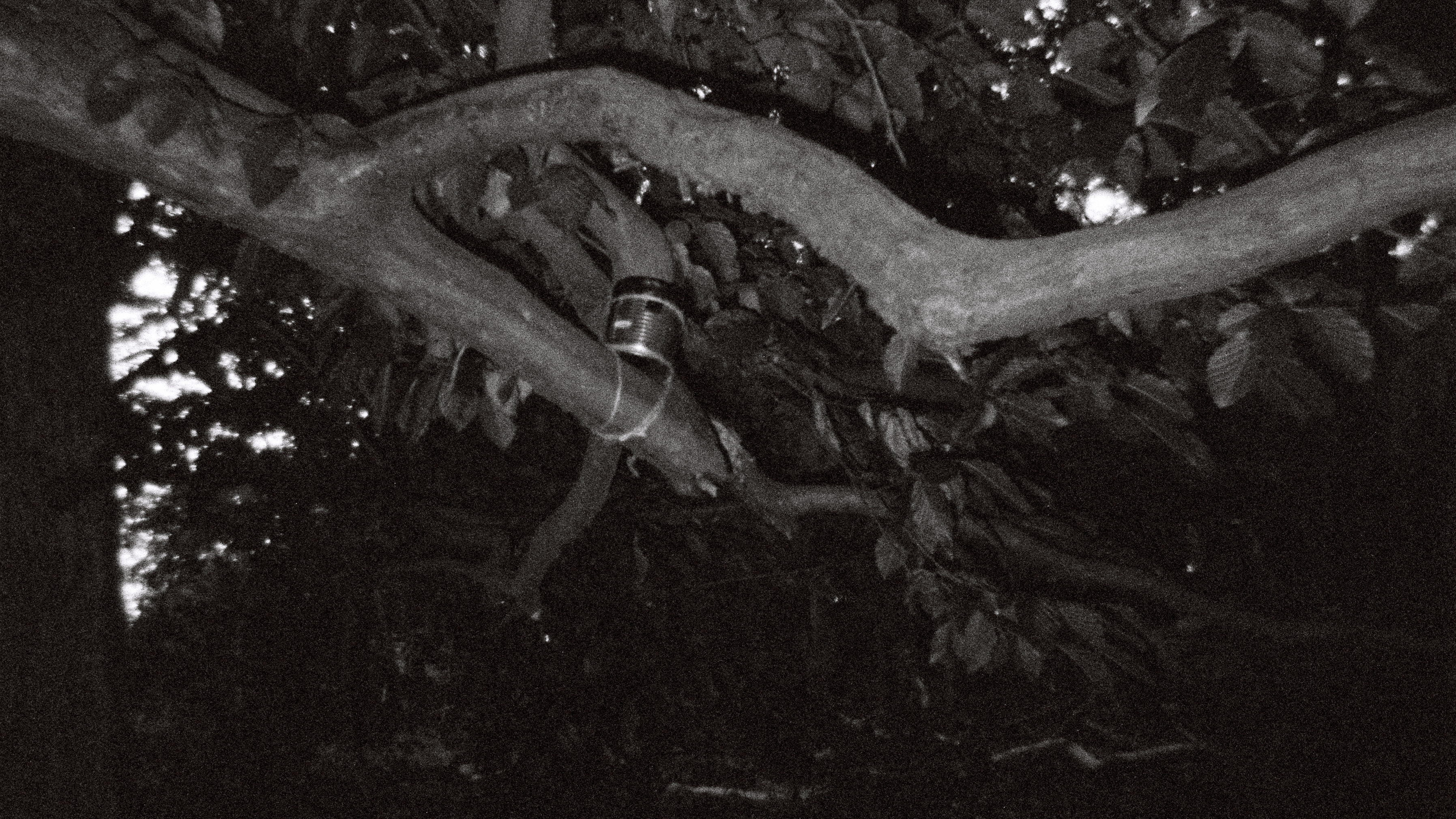 Miranda Pastor contact